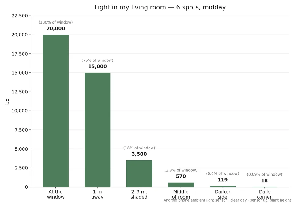Bar chart of light in one living room across six spots at midday: 20,000 lux at the window falling to 18 lux in the dark corner