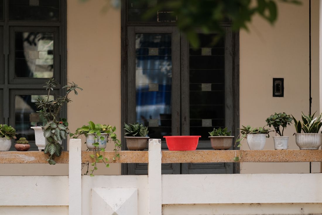 A row of potted plants along a balcony parapet under a deep roof overhang, the flat&rsquo;s windows behind them