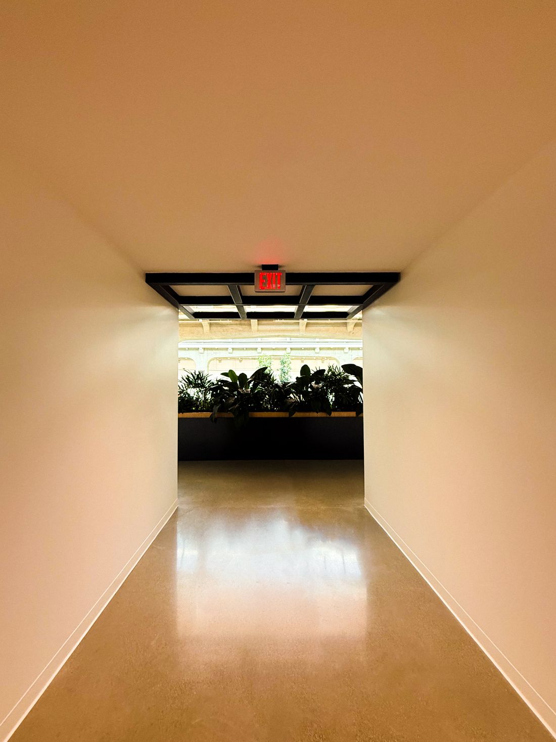 A long blank corridor lit only by the opening at its far end, where a row of planters stands against the daylight