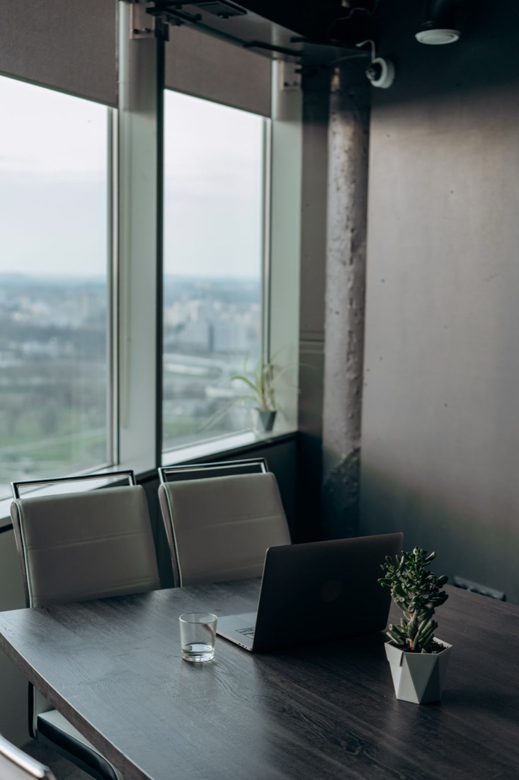 A small succulent in a white pot on a dark desk beside a floor-to-ceiling office window, with a spider plant further along the sill