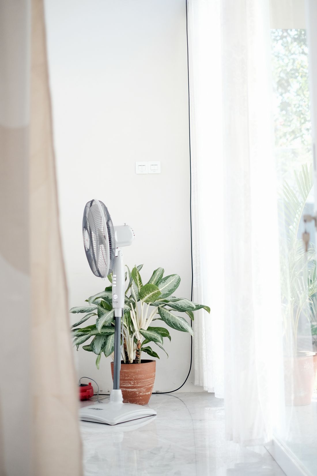 A pedestal fan standing directly in front of a Chinese evergreen in a terracotta pot, beside a curtained doorway to a garden