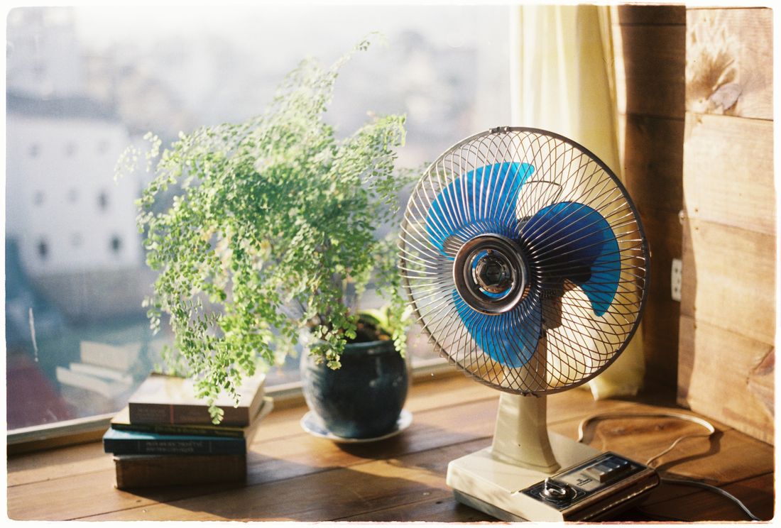 A small vintage fan on a wooden table beside a potted plant and a stack of books, sunlight coming through the window behind them