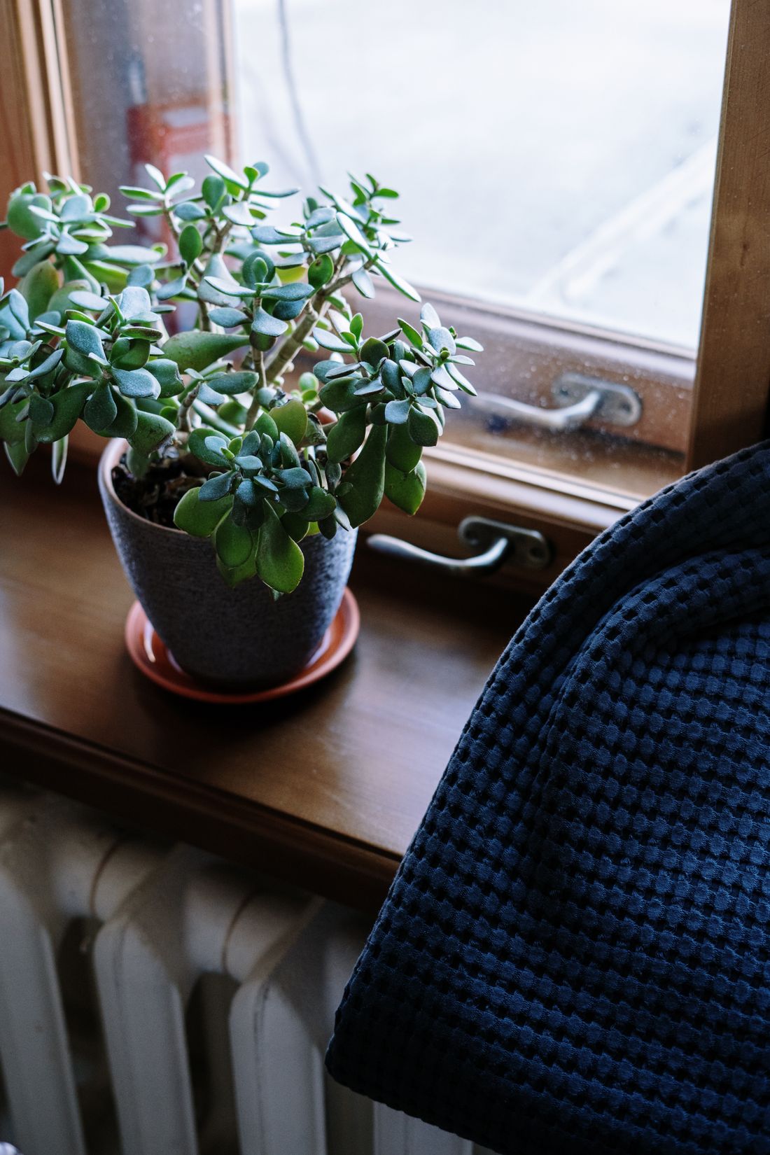 A dense jade plant in a grey pot on a wooden windowsill above a radiator, with a blanket over a chair beside it and a grey sky outside