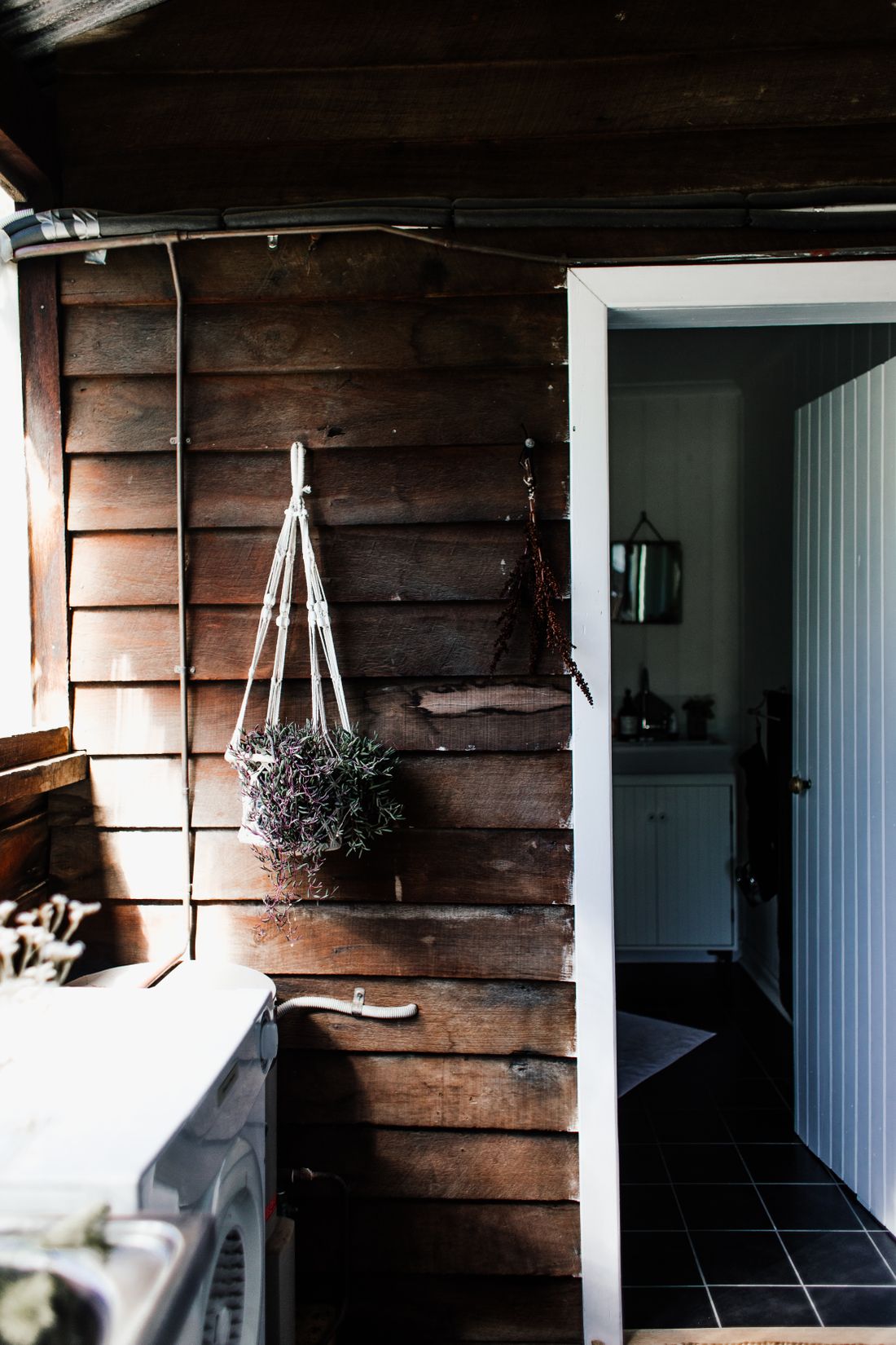 A trailing plant in a macramé hanger on a timber wall beside a washing machine, its hose running to a fitting in the wall, daylight coming from the left