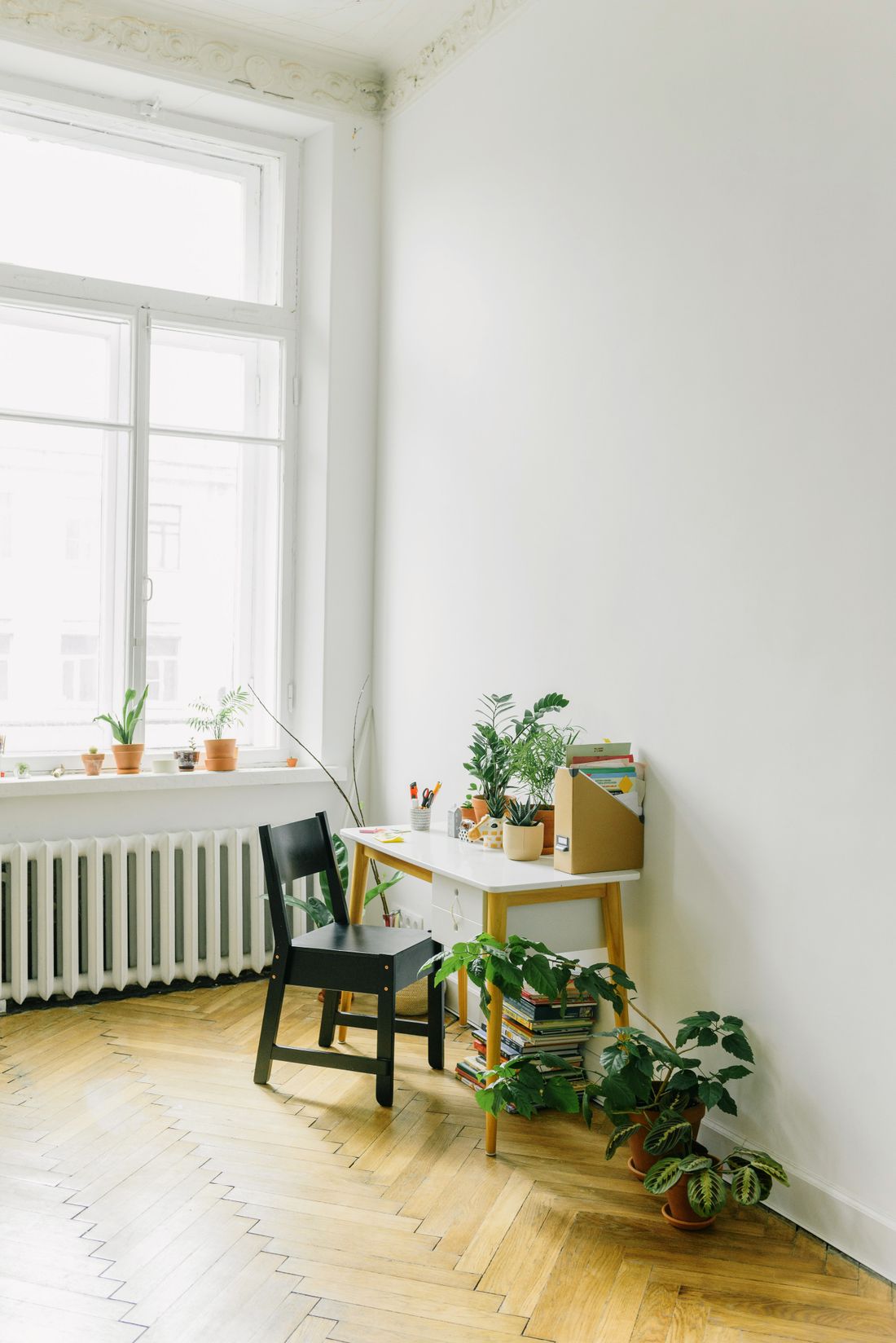A tall window in a white room with a radiator below it, small pots along the sill and a desk with more plants set against the adjacent wall