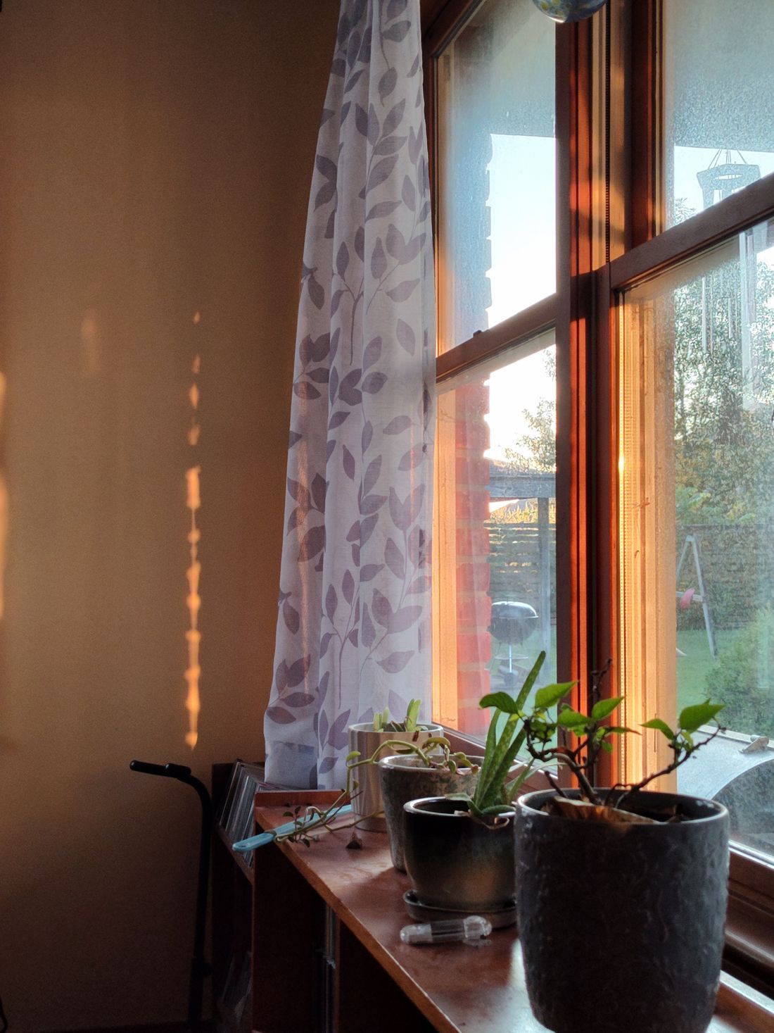Low orange sun coming through a garden window onto a sill of small pots, throwing a narrow strip of light far up the opposite wall