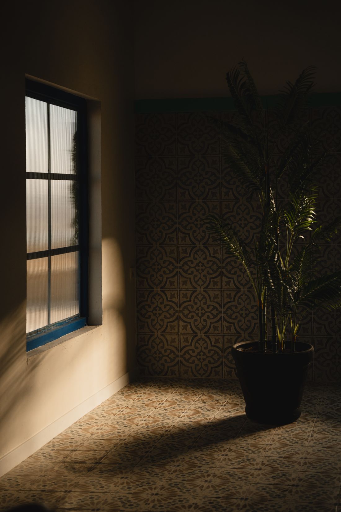 A palm in a dark pot in the corner of a tiled room, a single low shaft of sun through an obscured window falling across the floor beside it