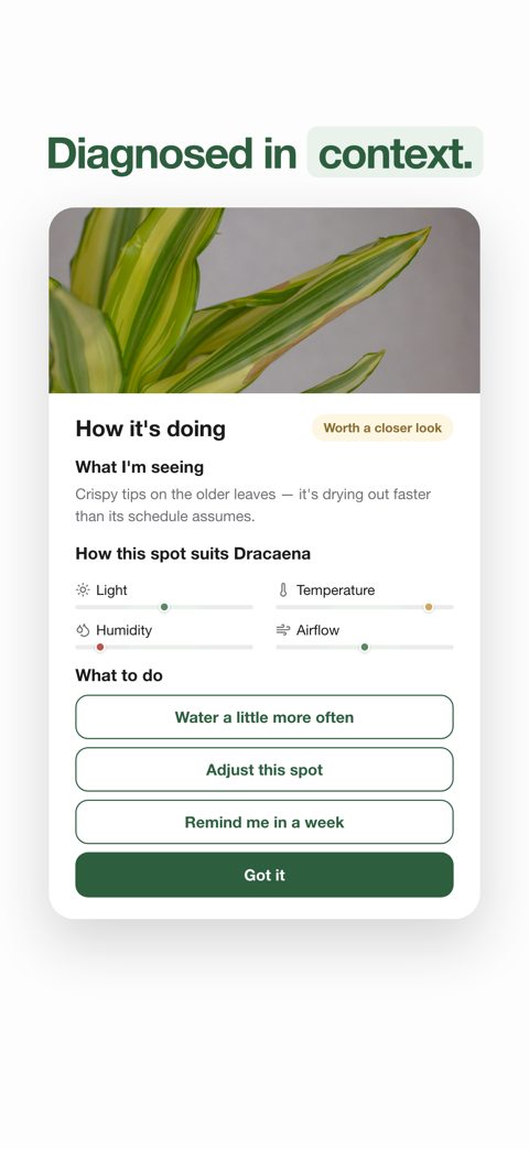 GrowSpot screenshot: plant diagnosis in the context of the spot it lives in