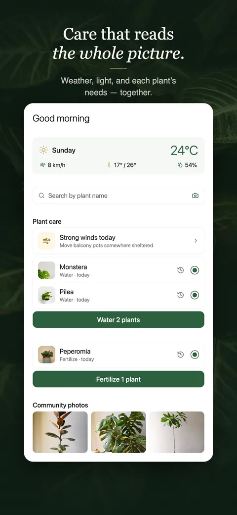 The GrowSpot home screen: the day’s weather, a strong-winds notice, and the plants due for water and feeding today
